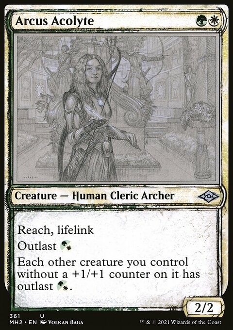 Arcus Acolyte