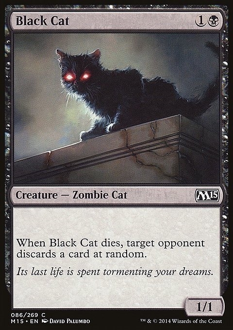Black Cat