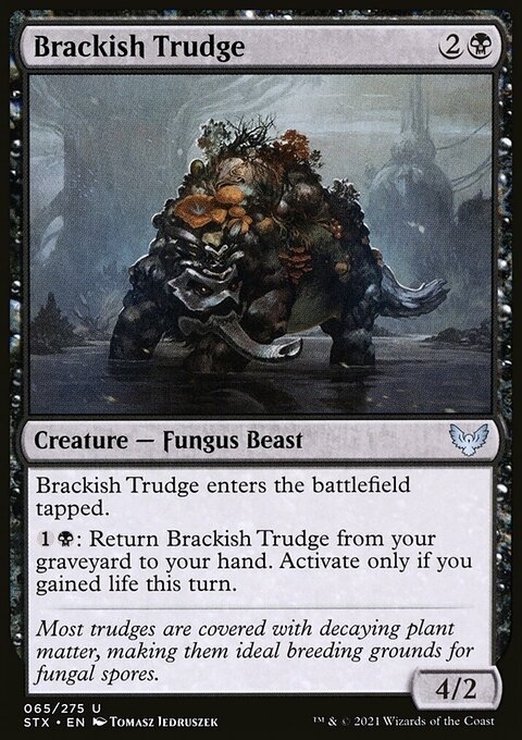 Brackish Trudge
