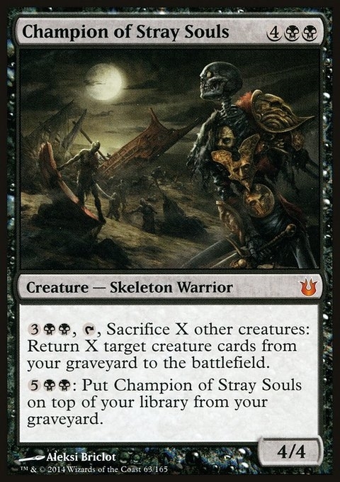 Champion of Stray Souls