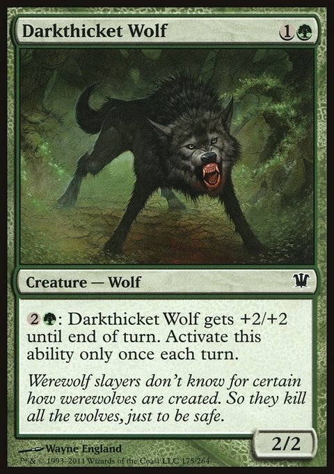 Darkthicket Wolf