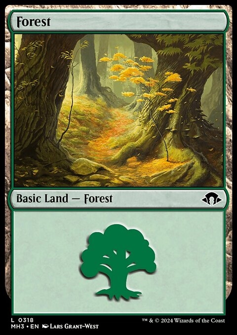 Forest