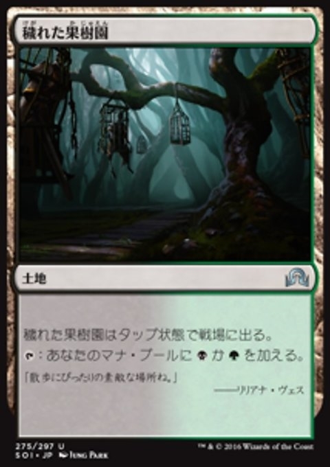 Foul Orchard (JP)