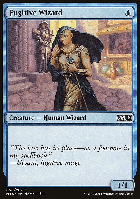 Fugitive Wizard