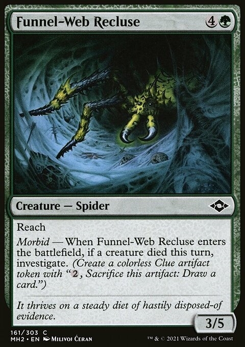Funnel-Web Recluse