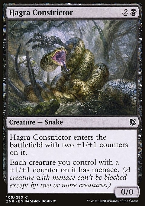 Hagra Constrictor