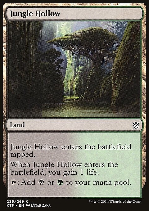 Jungle Hollow