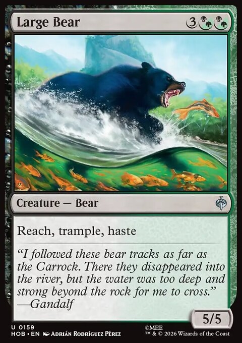 Large Bear
