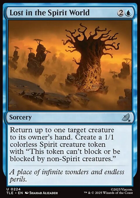 Lost in the Spirit World