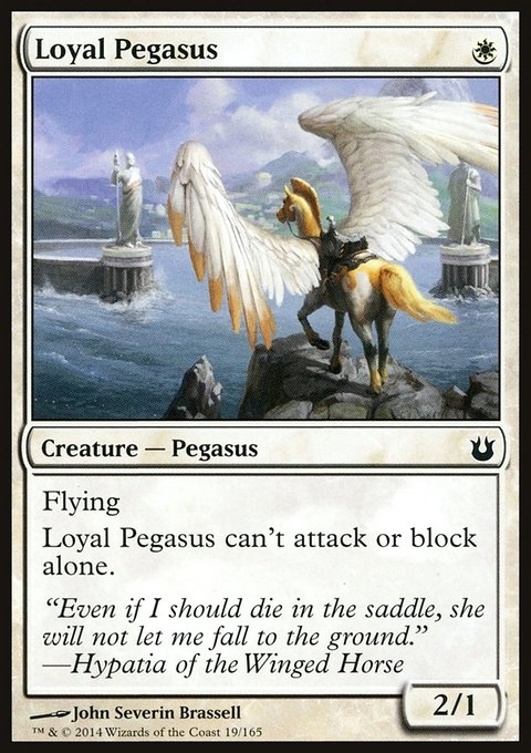 Loyal Pegasus