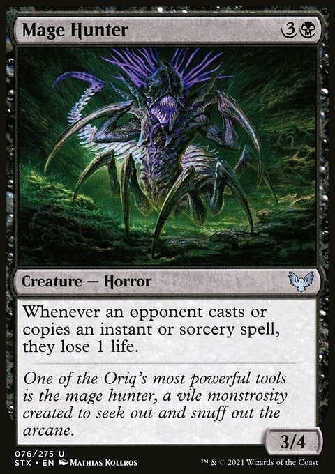 Mage Hunter