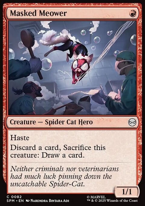 Masked Meower