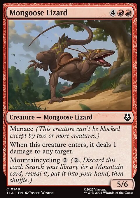 Mongoose Lizard