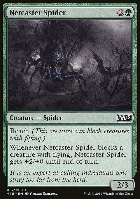 Netcaster Spider