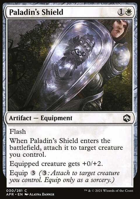 Paladin's Shield
