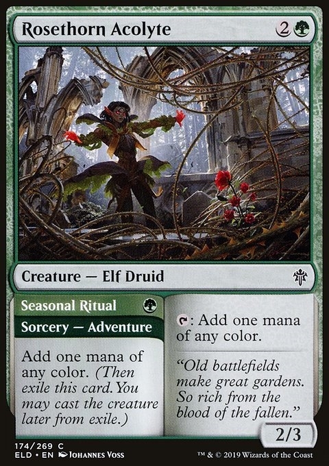 Rosethorn Acolyte // Seasonal Ritual
