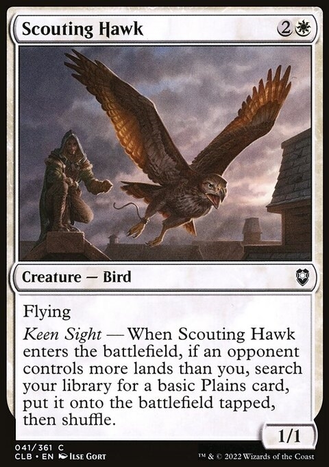 Scouting Hawk