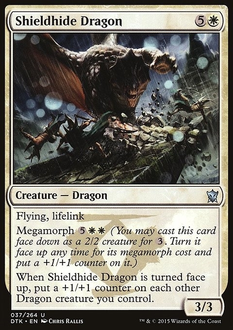 Shieldhide Dragon