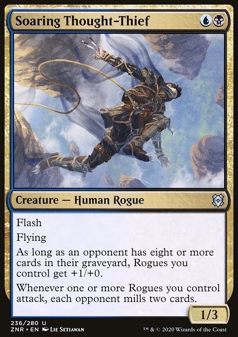 Soaring Thought-Thief