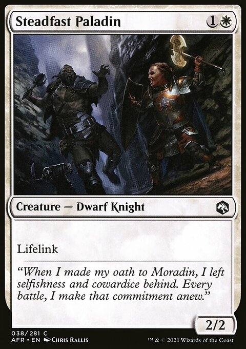 Steadfast Paladin