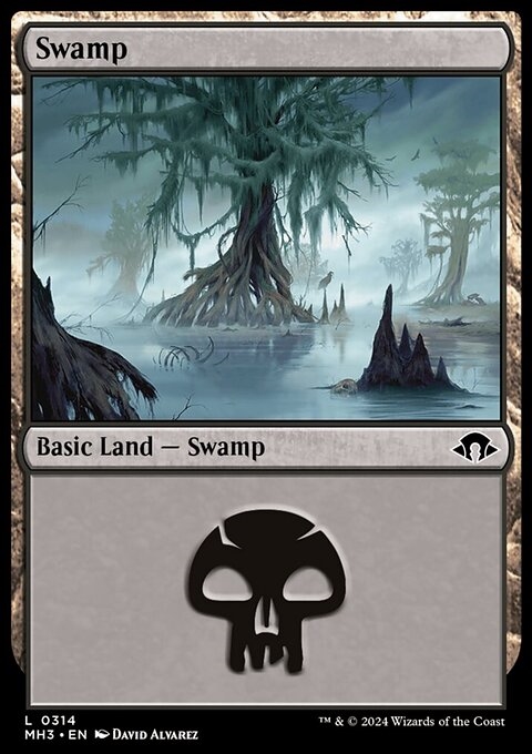 Swamp