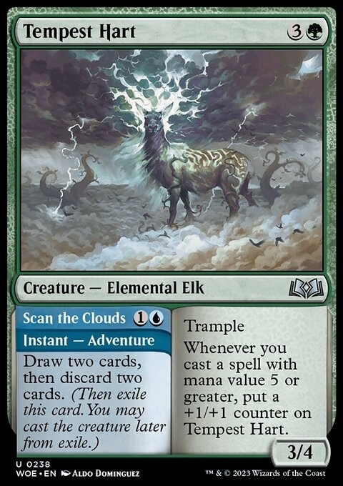 Tempest Hart // Scan the Clouds