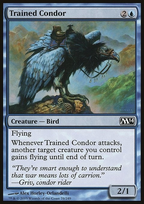 Trained Condor