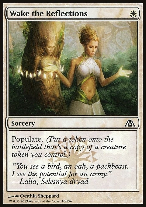 Wake the Reflections