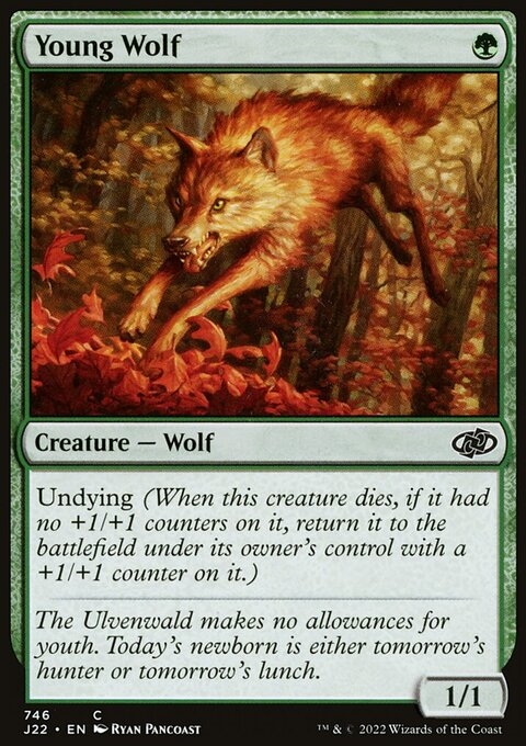 Young Wolf